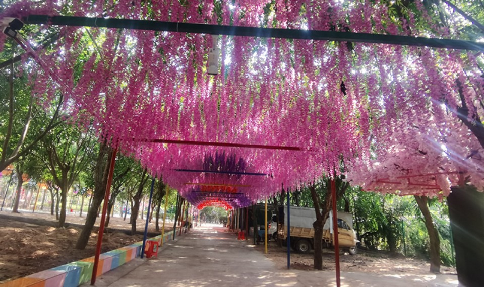 定安大风车农庄