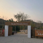 马安农场