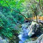 芦头境谷旅游风景区