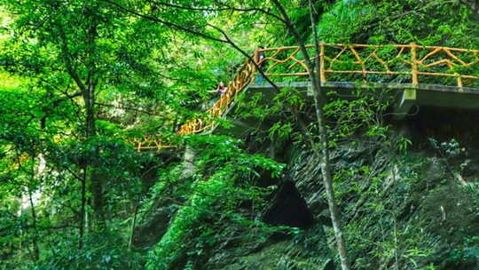 景点地址:岳阳市平江县加义镇芦头境谷旅游景区