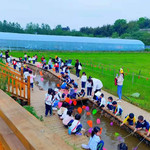 莓妃传新概念乐园农场