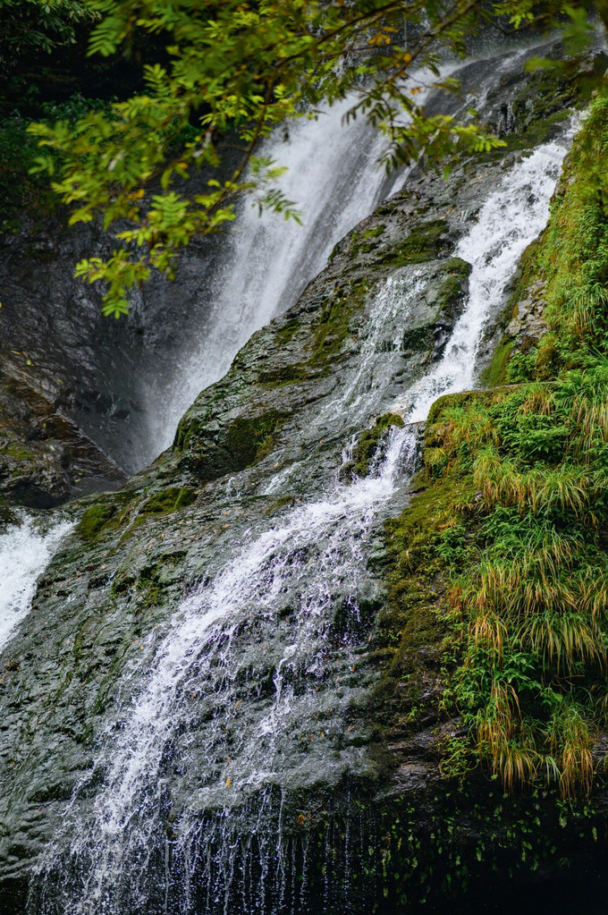 打鼓岭属于 黄山 山脉自东向西延伸的余脉,这里山峦重叠,林木繁茂,涧