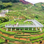 西岩茶乡度假村