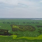 “水城米仓”稻田画景区