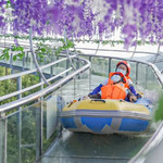 渡坊水村