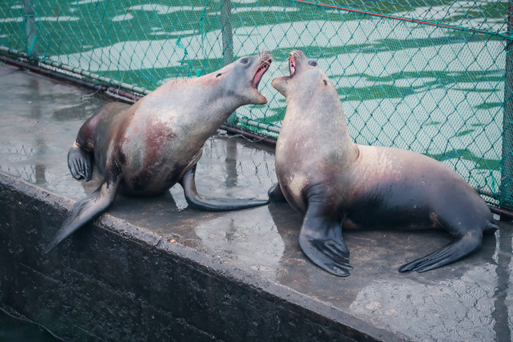 我的n次西霞口之旅| 遇见海上仙岛 等待是一种幸福