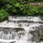 峡谷浮石林景区