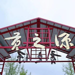 自贡贡之源玫瑰花海