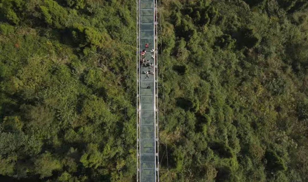 南充爱情圣地红豆村