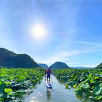 普者黑水上桨板景区