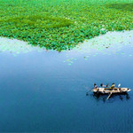 微山湖旅游区