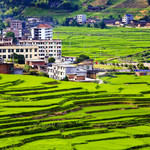 尤溪联合梯田