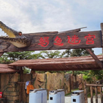 东方鳄珍鳄鱼园