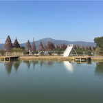 太湖鹿盛梅花鹿乐园