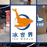 九天星冰世界