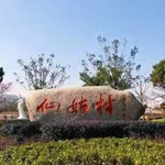 仙姑村