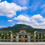 黄梅东山问梅村