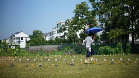 上饶飞鸿滑草场