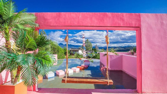 拉市海悠悠古道马场粉红帝国