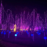 鱼梁洲环岛公园