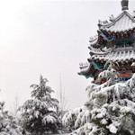 滕州龙阳旅游区