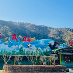 温岭两栖爬行馆