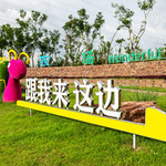 奇妙农场