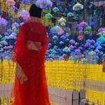 5D星空古装婚纱失恋博物馆