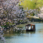 同里国家湿地公园