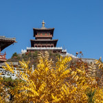太山