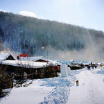 威虎山雪村
