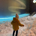 宁波北极王国冰雪世界