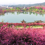 香山景区