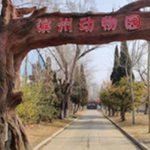 滨州动物园