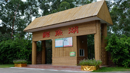 三水森林公园鳄鱼湖门票