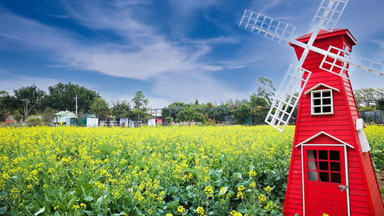 10万平米自然空间景点地址:福建省泉州市晋江市安海镇土垵村吉隆路1号