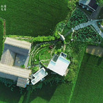 黄梅袁夫稻田