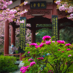 隋唐城遗址植物园