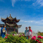 南山牡丹园