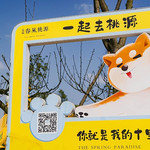 桃源农场