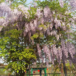 四季花海网红乐园