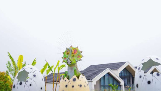 新希望种子乐园