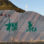 温州樱花园