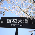 苏州湖畔花语景区