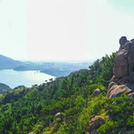 毛公山七彩花海