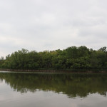 塘沽森林公园