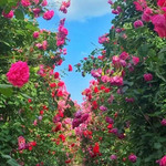 北汤生态景区