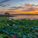 扬州北湖湿地公园