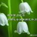 清茶
