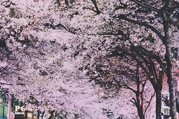 5天4晚·韩国首尔自由行